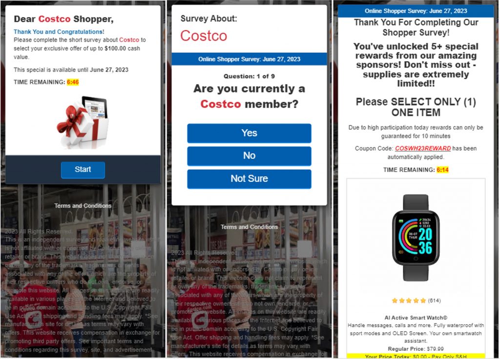 Costco_Phishing Text_Fake login page